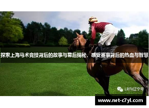 探索上海马术竞技背后的故事与幕后揭秘，感受赛事背后的热血与智慧