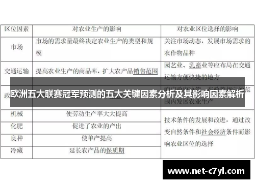 欧洲五大联赛冠军预测的五大关键因素分析及其影响因素解析