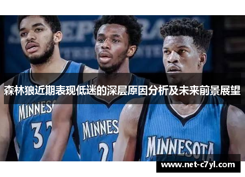 森林狼近期表现低迷的深层原因分析及未来前景展望