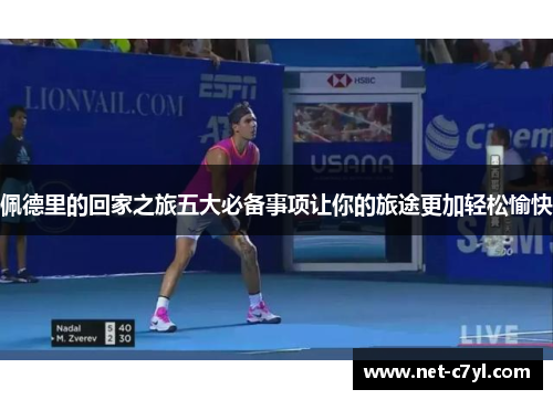 佩德里的回家之旅五大必备事项让你的旅途更加轻松愉快