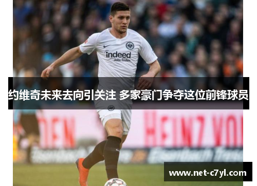约维奇未来去向引关注 多家豪门争夺这位前锋球员
