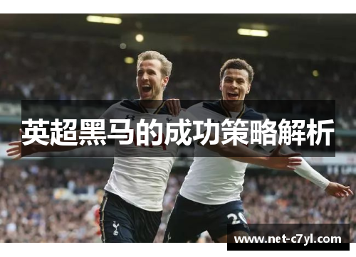 英超黑马的成功策略解析