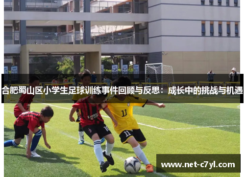 合肥蜀山区小学生足球训练事件回顾与反思：成长中的挑战与机遇