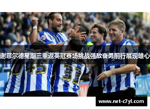 谢菲尔德星期三重返英冠赛场挑战强敌奋勇前行展现雄心