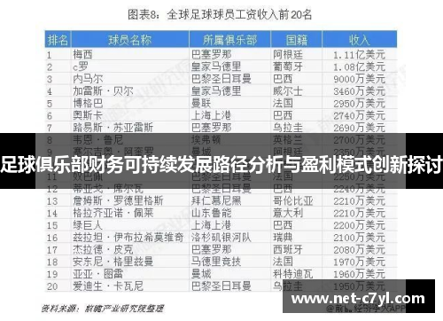 足球俱乐部财务可持续发展路径分析与盈利模式创新探讨