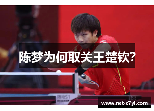 陈梦为何取关王楚钦？